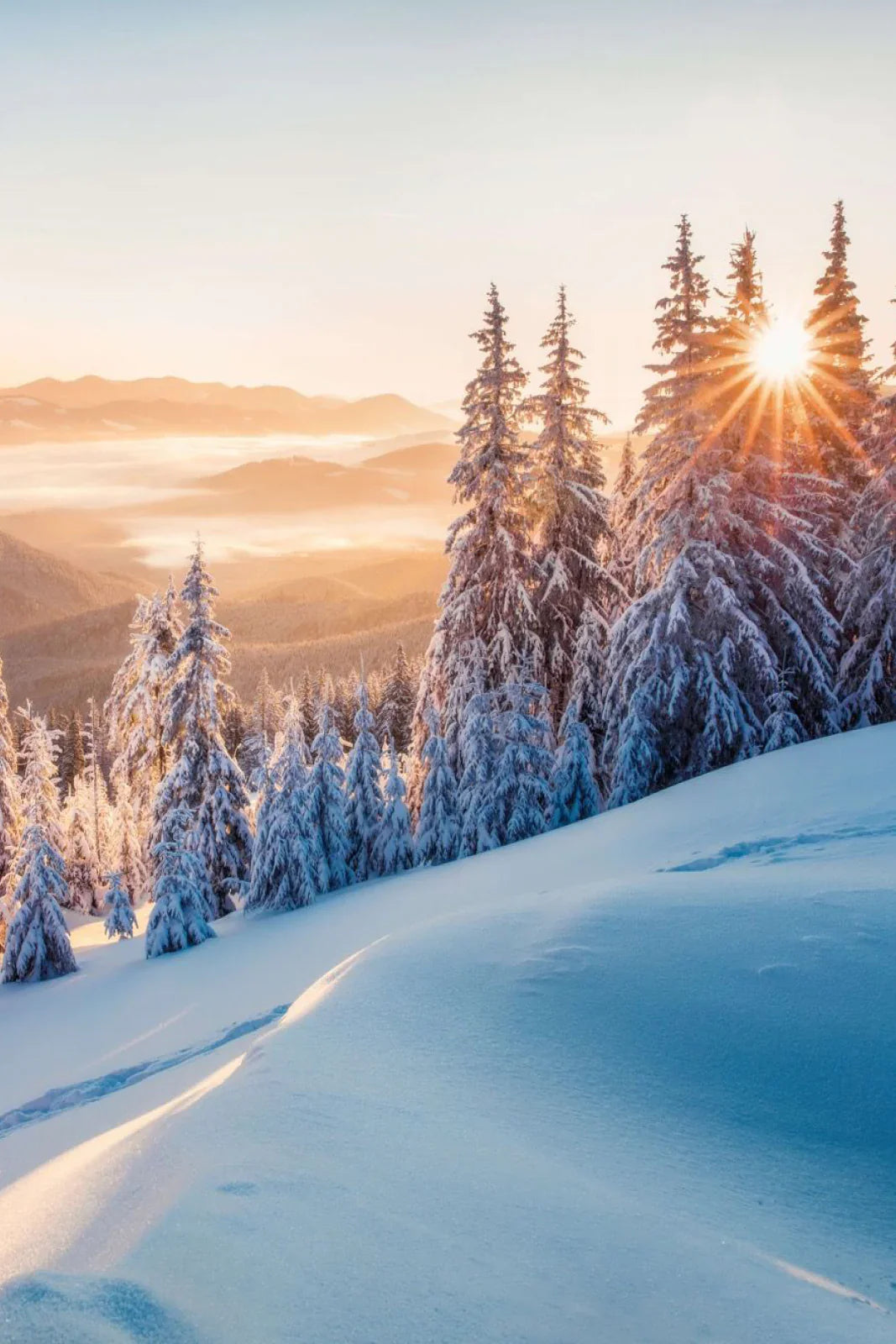 Les meilleures alternatives au ski alpin traditionnel