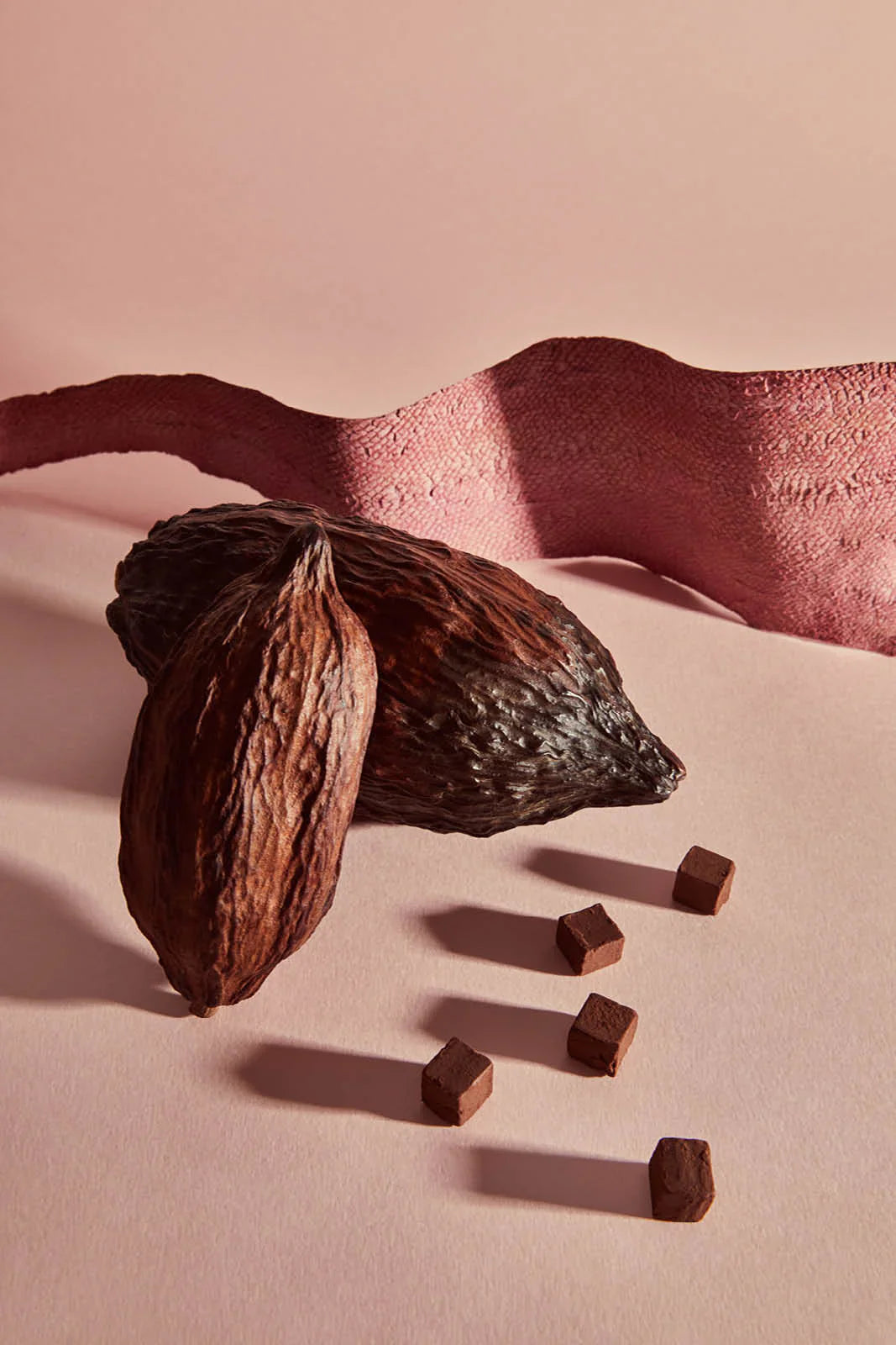 Fèves et cubes de caco