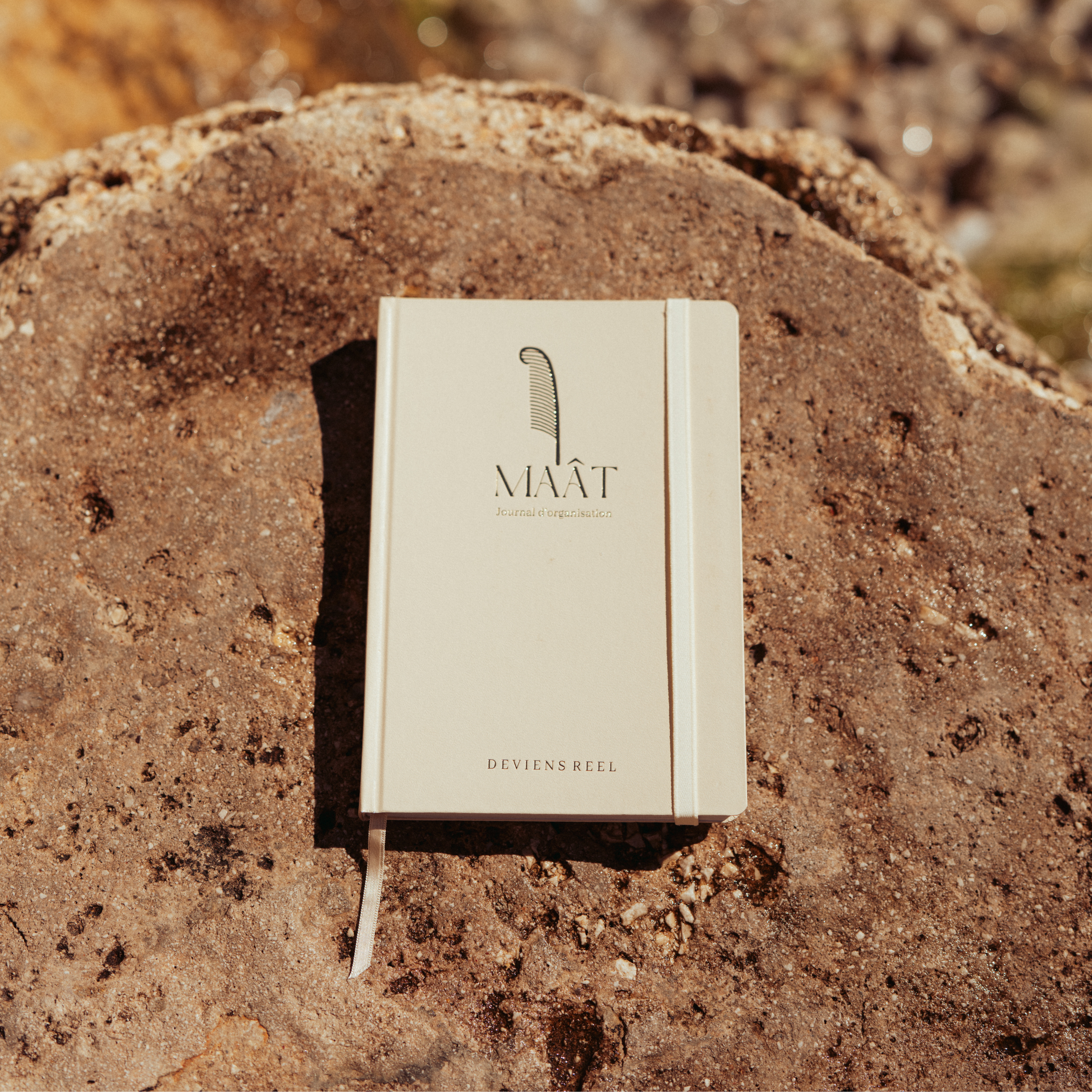 Journal d'Organisation - Maât