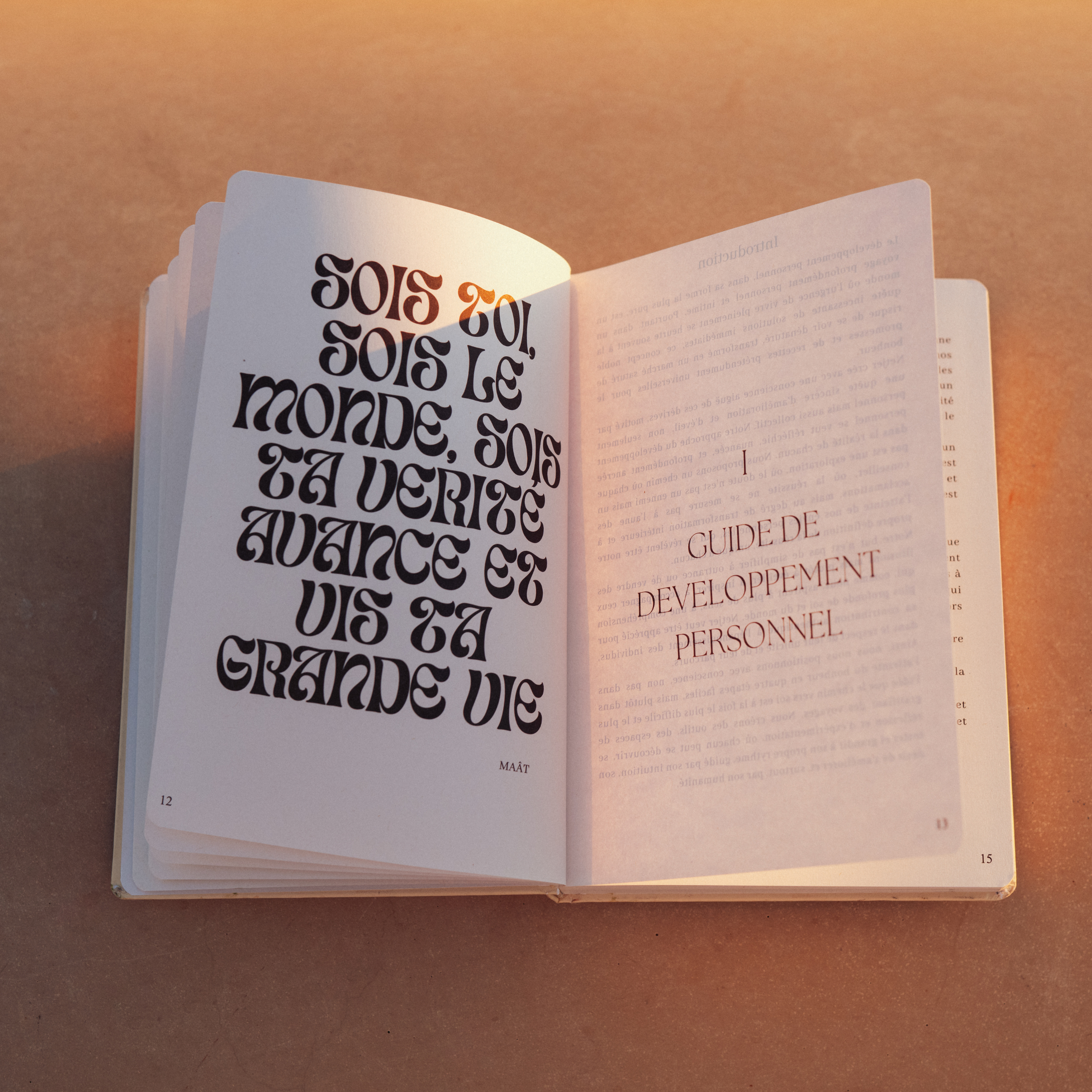 Journal d'Organisation - Maât