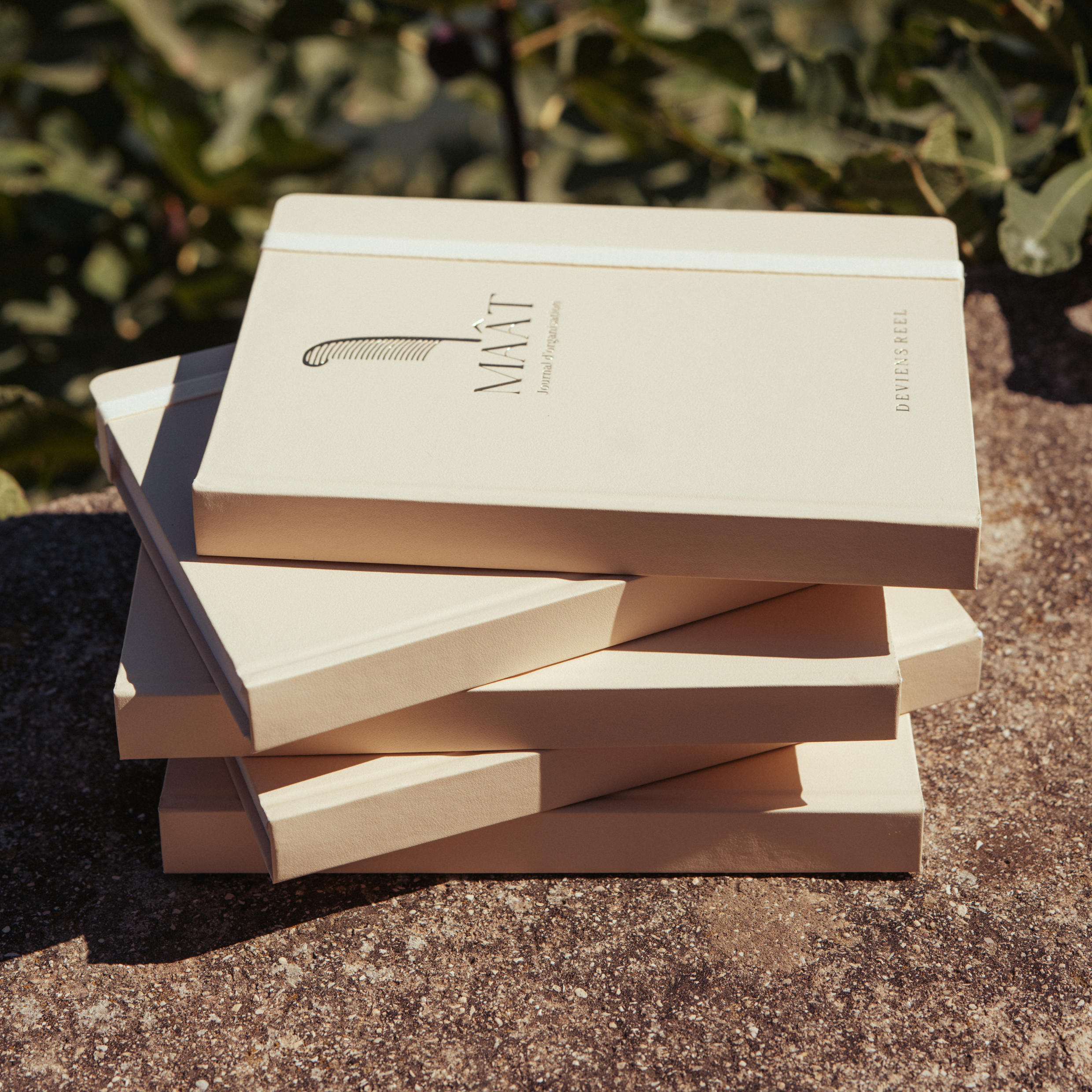 Journal d'Organisation - Maât