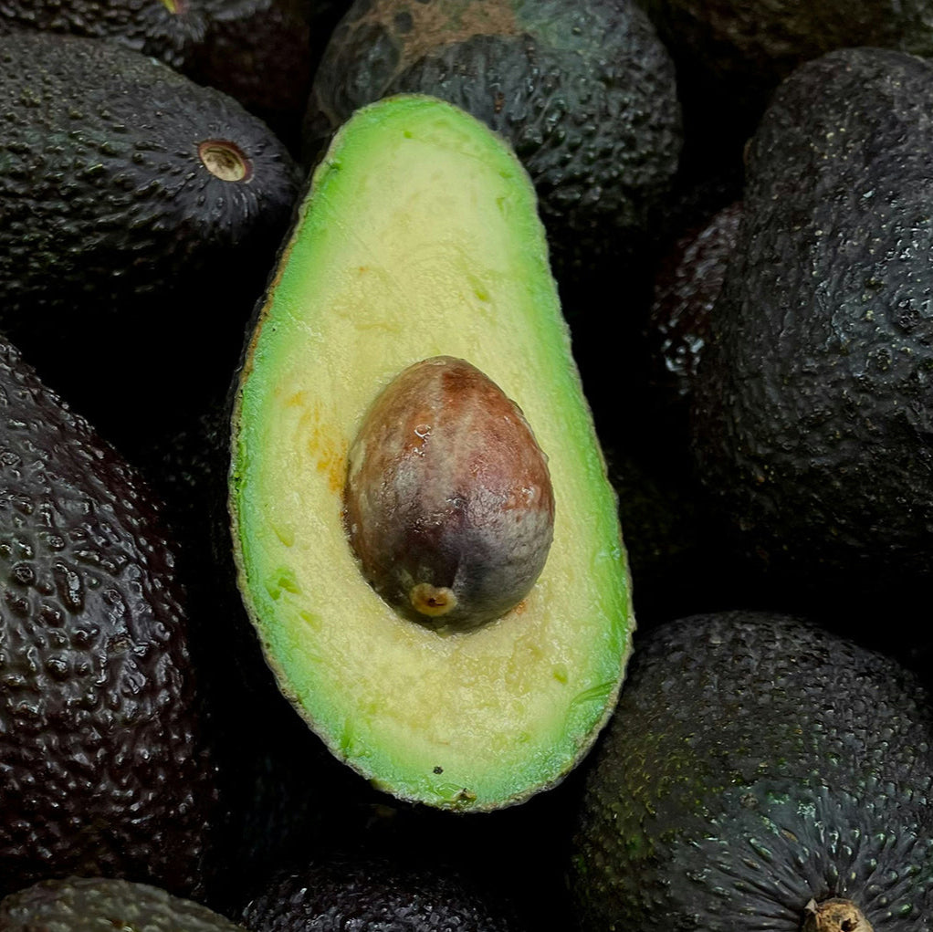Avocat