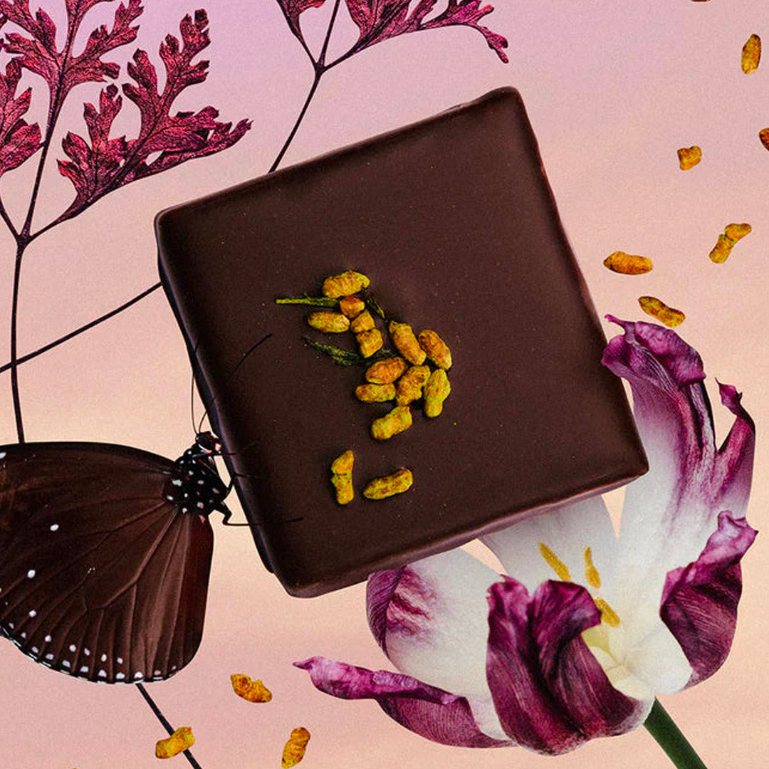 Cacao cru Genmaicha & Riz Brun Soufflé - 4 sachets