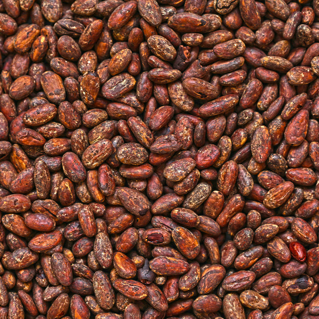 Fèves de cacao