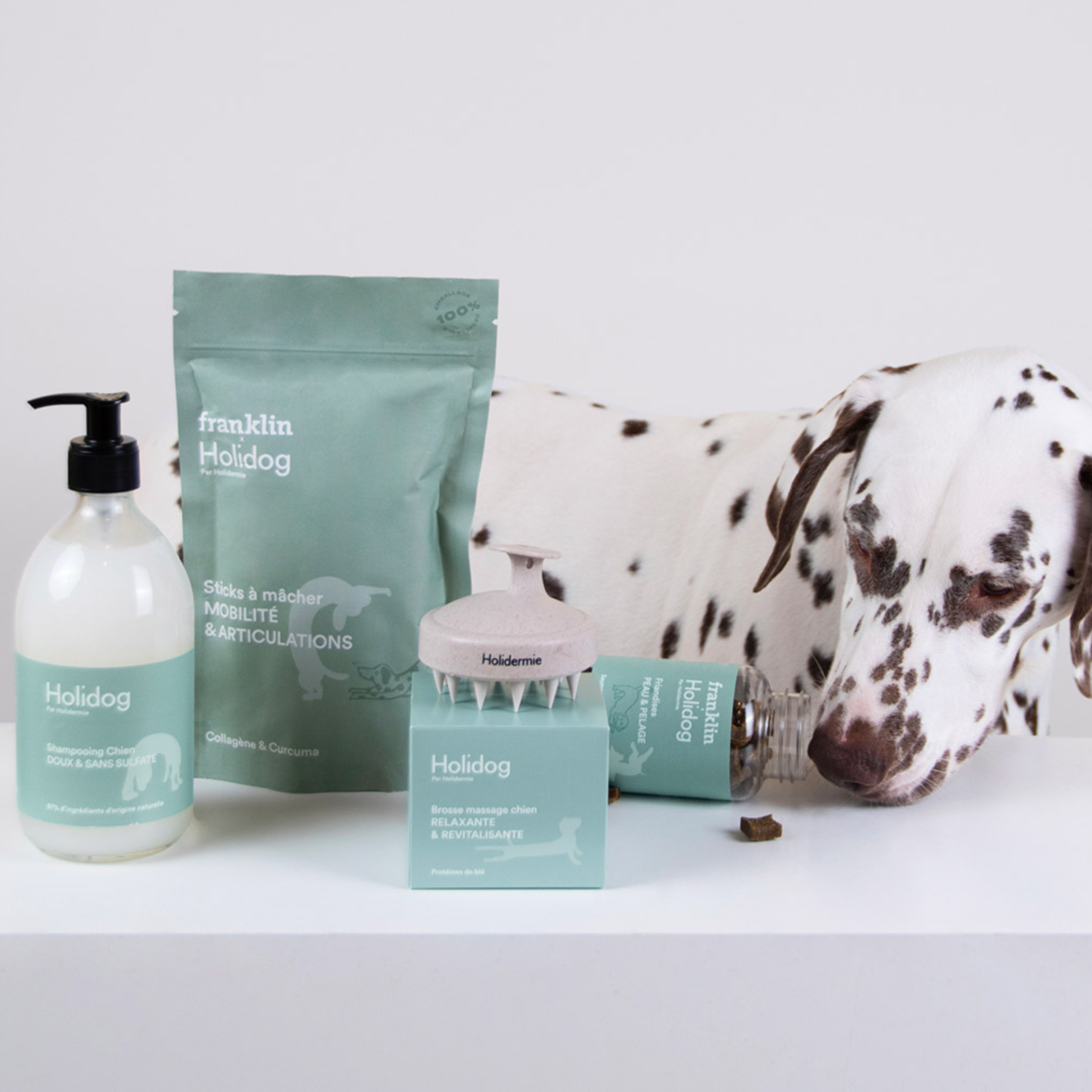 Shampooing chien hydratant pour peau confortable et poil éclatant