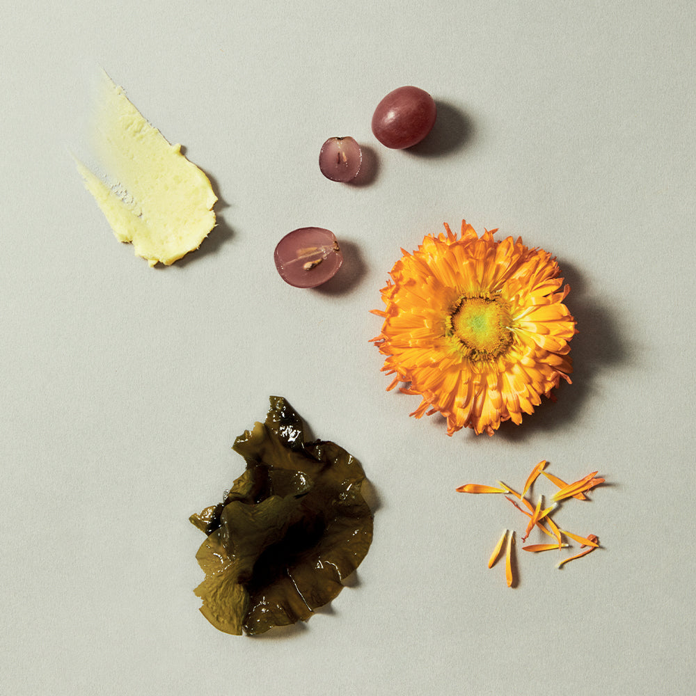 Crème Antioxydante Mains