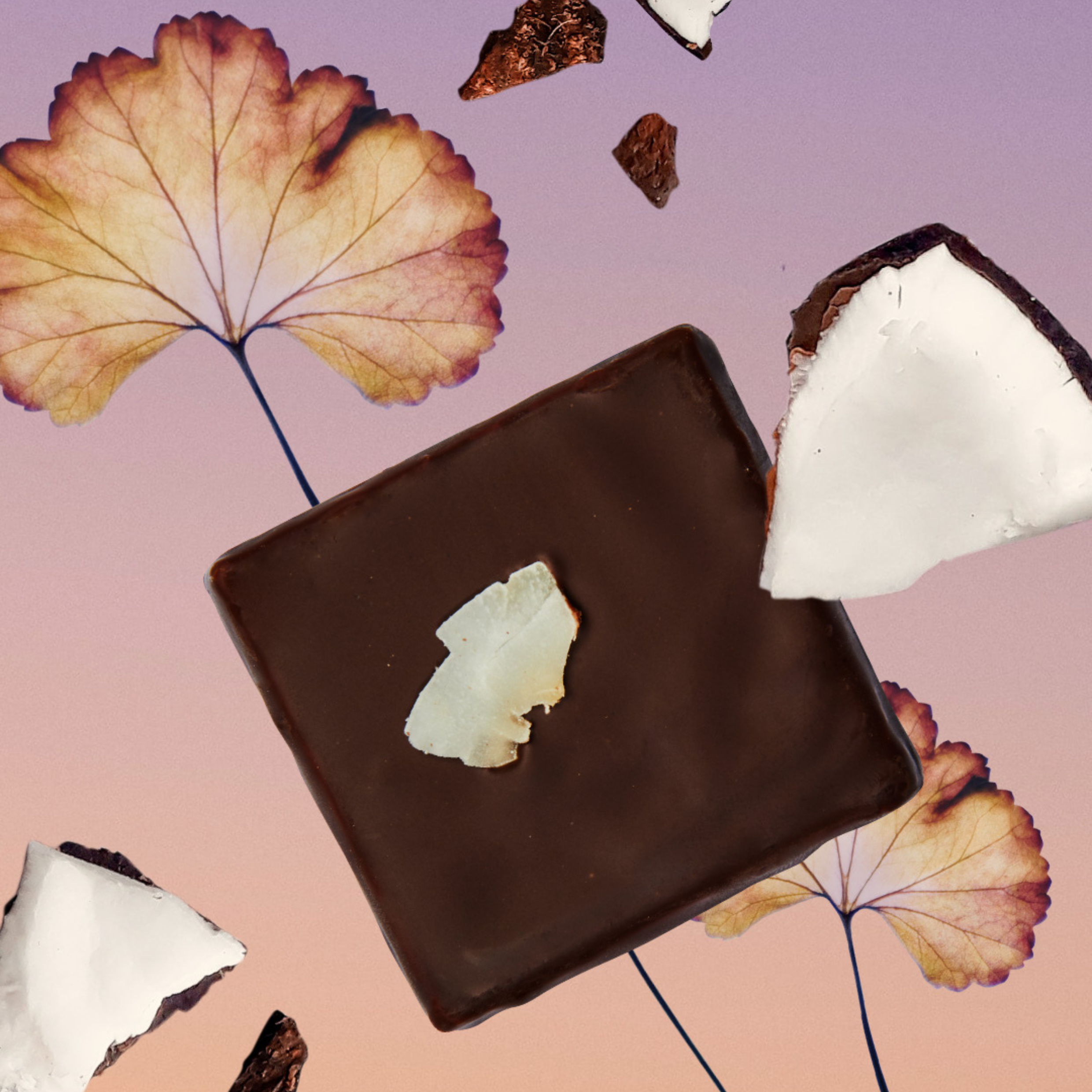 Cacao cru Noix de coco grillée & Curcuma BIO