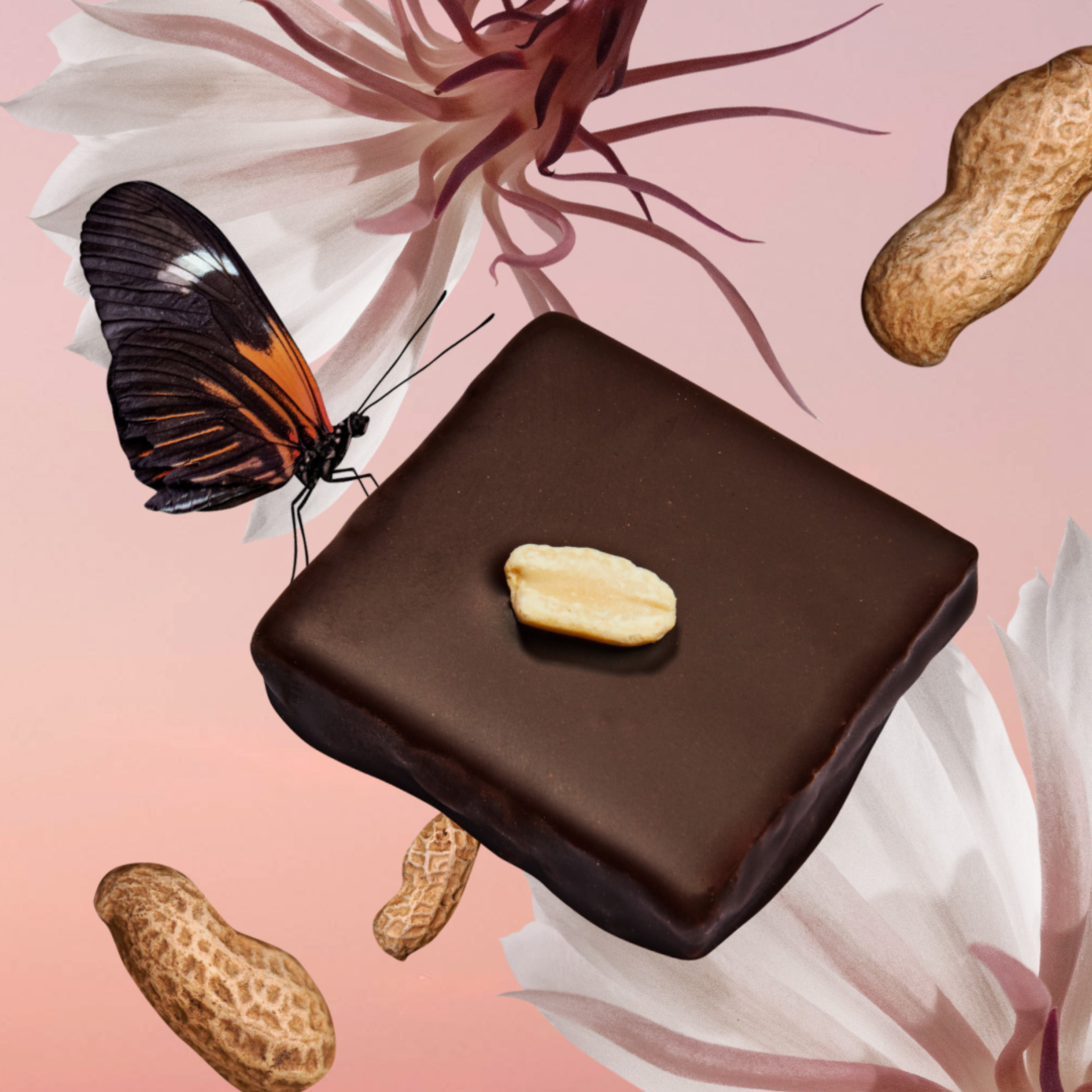 Cacao cru Beurre de Cacahuète & Sel Fumé BIO