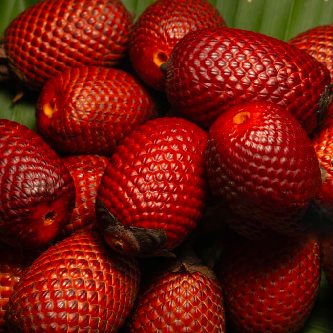 Huile de buriti