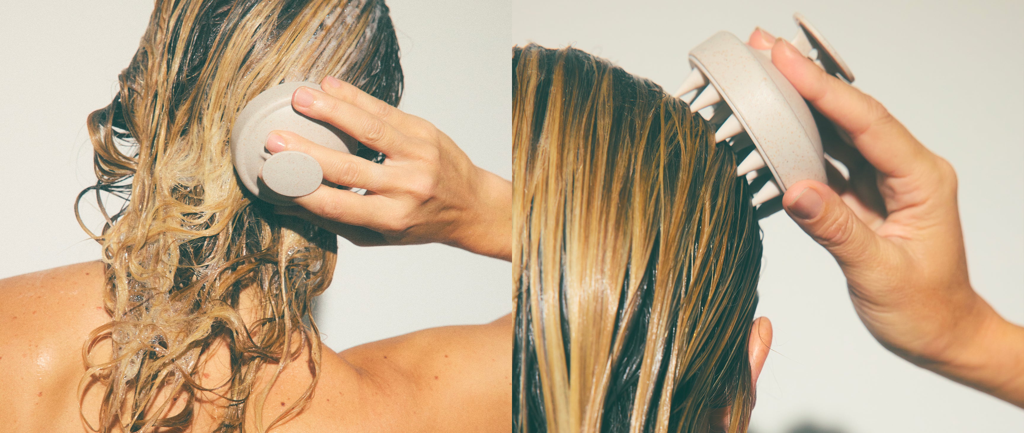 Holidermie | Pionnier de la Beauté Holistique
