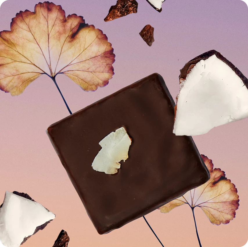 Cacao Cru Fourré - Chakra - Assortiment