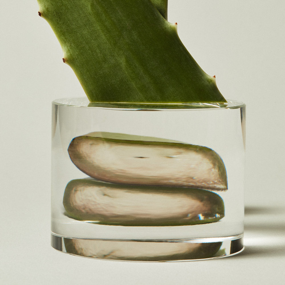 Gel Lavant & Exfoliant Mains