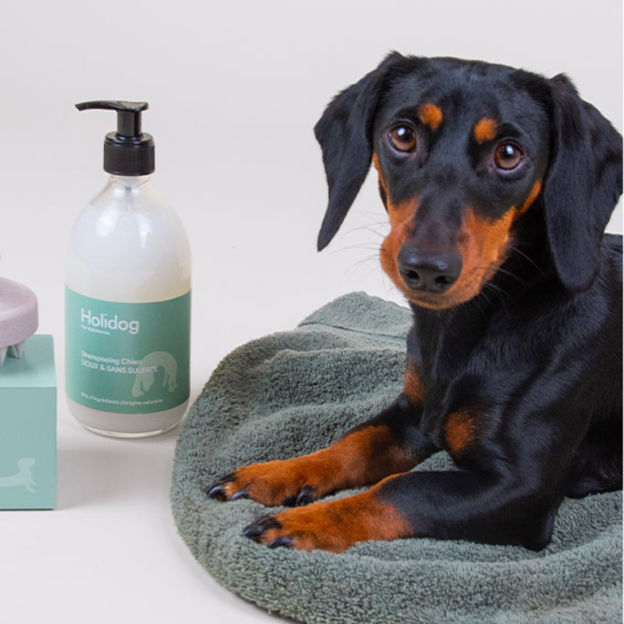 oin pelage chien pour nettoyer, protéger et sublimer le poil