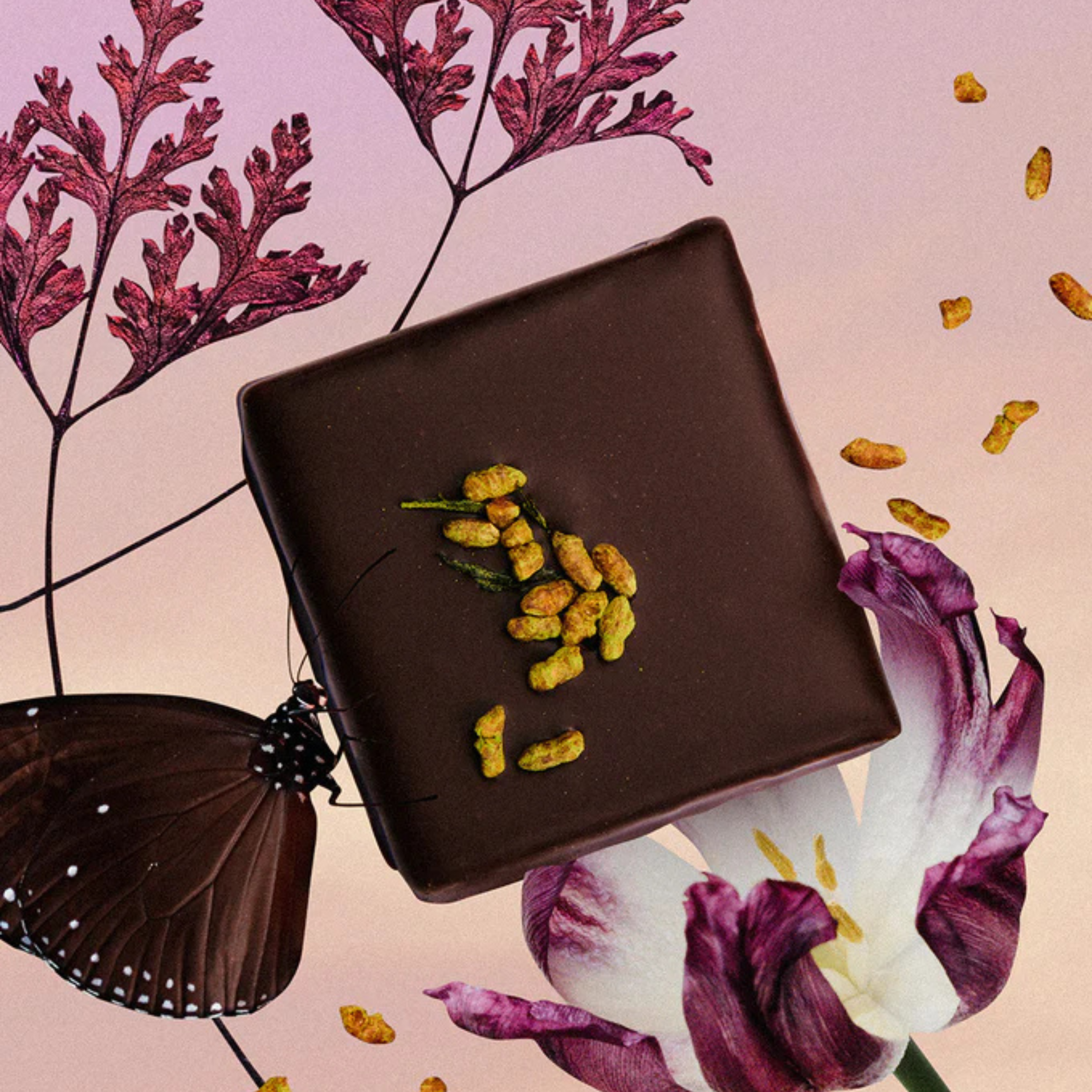 Cacao Cru Fourré - Chakra - Assortiment