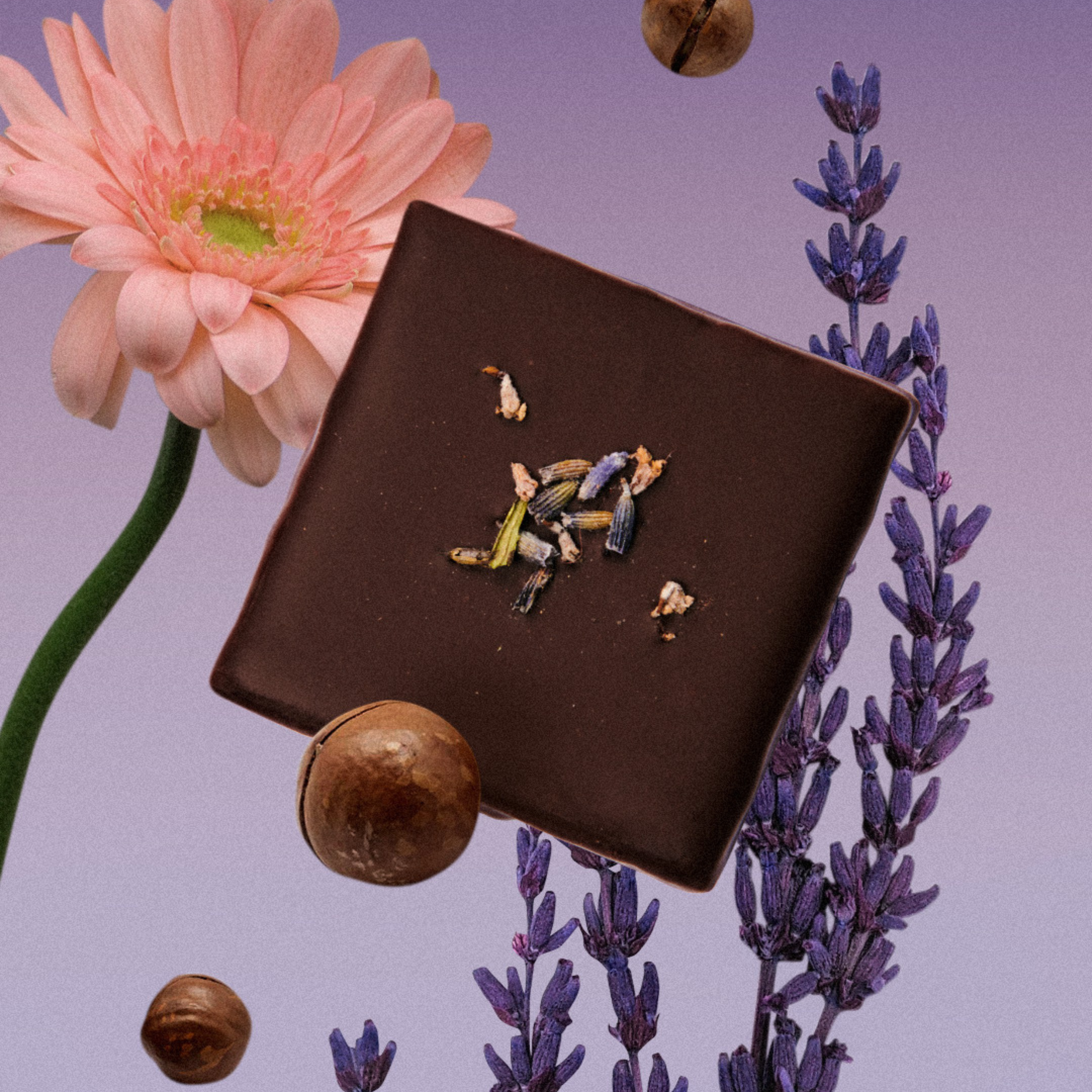 Cacao cru Lavande Sauvage & Macadamia BIO