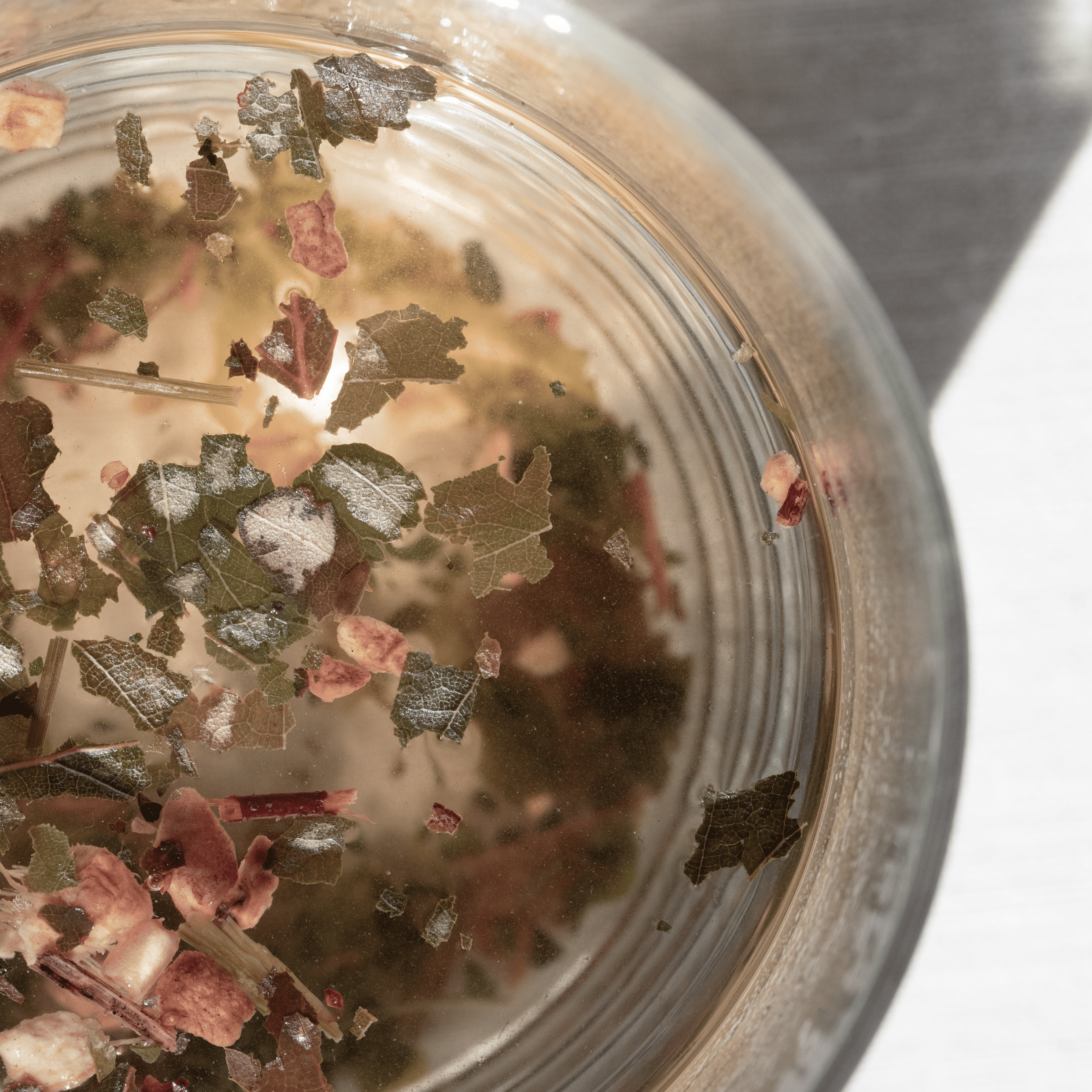 infusion bien-être pour soutenir le système immunitaire