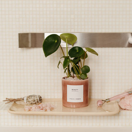plateau Holidermie X By Charlot