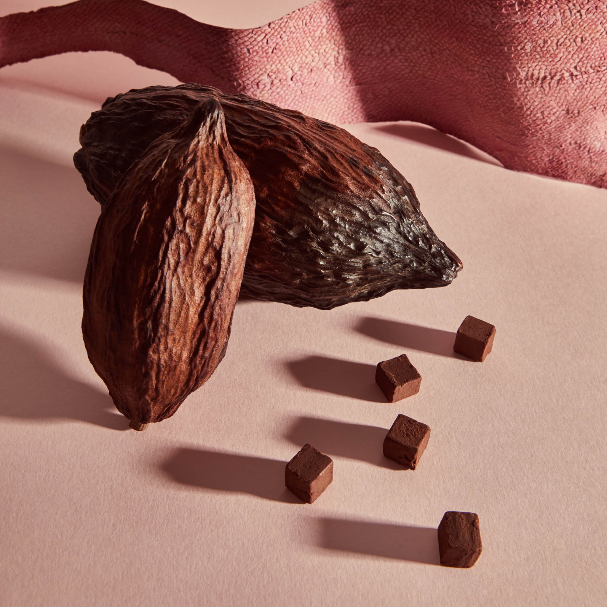 Cubes cacao collagène* - Holidermie